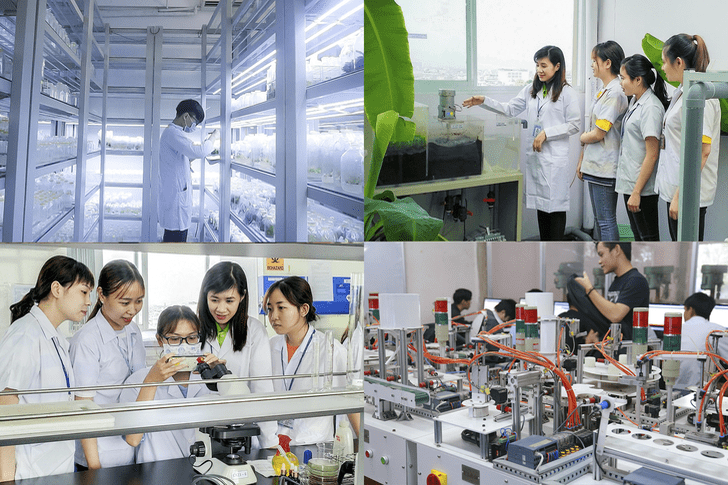 Sinh viên khoa Công nghệ thực phẩm Đại học Công nghệ Đông Á trong giờ học thực hành