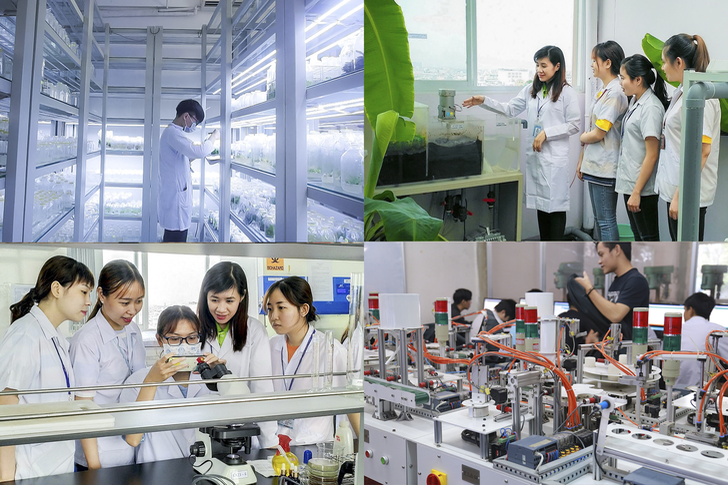 Xu hướng nghề nghiệp ngành Công nghệ thực phẩm trong 5-10 năm tới