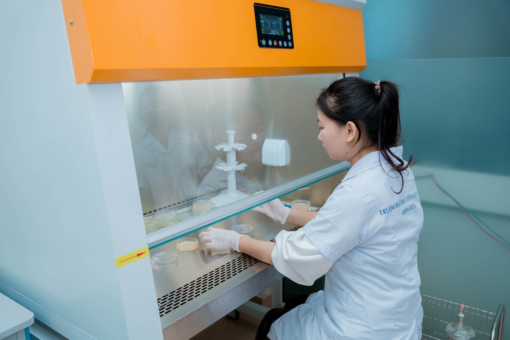 NGÀNH DƯỢC NÊN HỌC ĐẠI HỌC HAY CAO ĐẲNG?